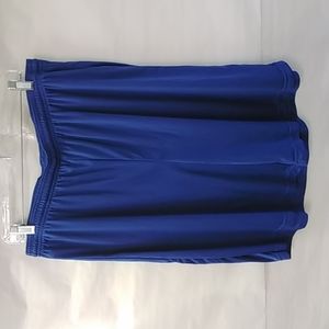 SportTech Royal blue gym shorts